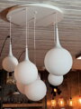 Lustr Globe Max