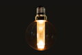  Dekorativní LED vintage žárovka Edison Round