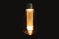  Dekorativní LED vintage žárovka Edison
