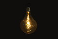 LED dekorativní žárovka Edison G125 -Alien
