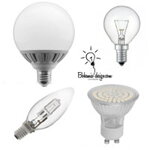 Bulbs and LED bulbs Bulbs and LED bulbs
