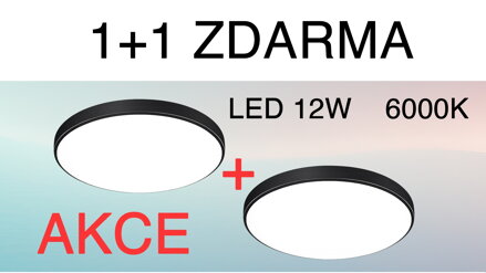1+1 ZDARMA - Stropní kulatý LED panel přisazený Carter - 12W černý, 22cm