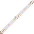 LED pásek 5m 4,8W L3-300 ECONOMY