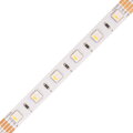 24V RGBW4v1-DW 19,2W vnitřní LED pásek záruka 3 roky