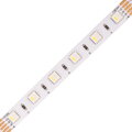 24V RGBW4v1-CW 19,2W vnitřní LED pásek záruka 3 roky