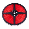 LED NEON 12NEON10