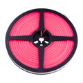 LED NEON 12NEON10