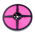 LED NEON 12NEON10