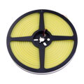 LED NEON 12NEON10