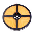 LED NEON 12NEON10
