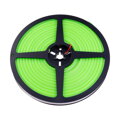 LED NEON 12NEON10