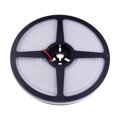 LED NEON 12NEON10