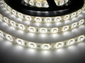 LED pásek zalitý SQ3-W300