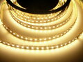 LED pásek 24V-600-20W vnitřní záruka 3 roky