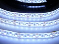 LED pásek zalitý SQ3-W600