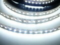 LED pásek 24V-600-20W vnitřní záruka 3 roky