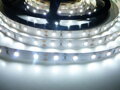 LED pásek 24V-300-12W vnitřní záruka 3 roky