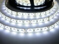 LED pásek zalitý SQ3-W300