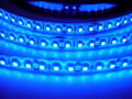 LED pásek vnitřní SQ3-600 záruka 3 roky