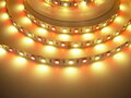24V RGB+WW 14,4W vnitřní LED pásek záruka 3 roky