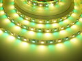 24V RGB+WW 14,4W vnitřní LED pásek záruka 3 roky