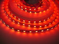 24V RGBW4v1-CW 19,2W vnitřní LED pásek záruka 3 roky