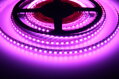 LED pásek 24RGB 12024 24W/m 120LED/m