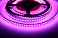 LED pásek 24RGB12014 120LED/m 14W/m Záruka 3 roky