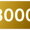 3000 Kč